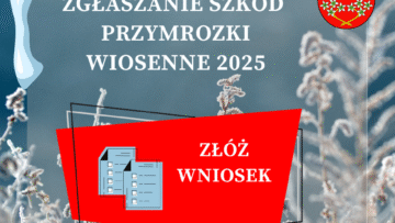Przymrozki wiosenne 2025